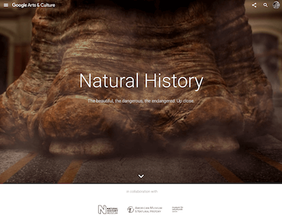 Desktop natural history page screenshot